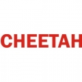 Grumman Cheetah Aircraft Decal,Sticker!