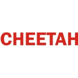 Grumman Cheetah Aircraft Decal,Sticker!