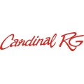 Cessna Cardinal RG Aircraft Decal,Logo 3 3/4''h x 14 1/2''w!
