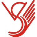 Stinson V Aircraft Logo/Decal!