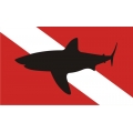 Shark2 Boat Decal Vinyl Sticker 10" wide by 5.9" high!