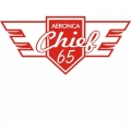 Aeronca Chief 65 Aircraft Logo,Decal/Sticker 11.5''w x 4 7/8''h!