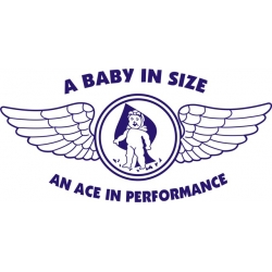 Corben Baby Ace Aircraft Logo,Decals!