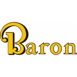 Beech Baron Aircraft Logo,Decals!