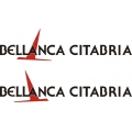 Bellanca Citabria Aircraft Decal!