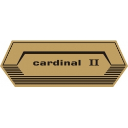 Cessna Cardinal II Aircraft Decal,Logo!