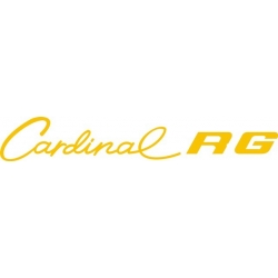 Cessna Cardinal RG Aircraft Decal/Logo 3.5''h x 21''w!