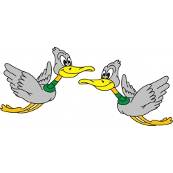 Flying Duck Aircraft Decal/Sticker!12w x 8.25h!