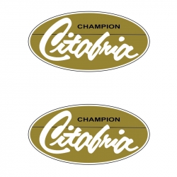 Citabria Champion Aircraft Logo,Decal/Sticker