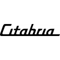 Citabria Aircraft Logo,Decal/Sticker
