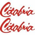 Citabria  Aircraft Logo,Decal/Sticker
