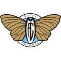 De Havilland Gipsy Moth Aircraft Logo,Decals!