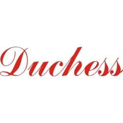 Beechcraft Duchess Aircraft Decal,Stickers!