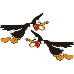 Flying Duck Decal/Sticker 12''w x 7.5''h!