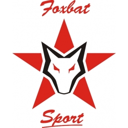 Foxbat Aircraft Logo,Decals!