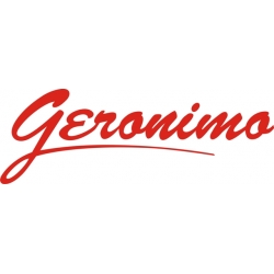 Piper Geronimo Aircraft Logo,Decals!