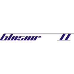 Glasair II Aircraft Decal,Sticker 2 1/4''high x 20''wide!