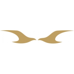 Cessna Golden Eagle Aircraft Logo,Decals!