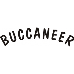 Lake Buccaneer Aircraft Decal/Stickers!