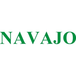 Piper Navajo Aircraft Logo,Decals!