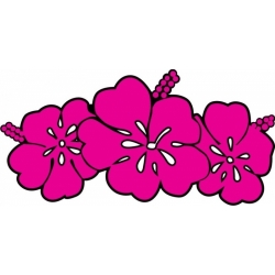 Hibiscus Flower! Sticker/Decals!