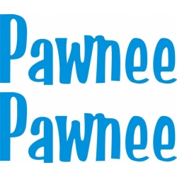 Piper Pawnee Aircraft Decal,Sticker 2''high x 15.5''wide!