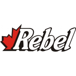 Rebel Aircraft Logo,Decals!