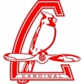Saint Louis Cardinal Aircraft Logo,Decals!