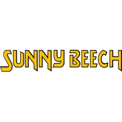 Beechcraft Sunny Beech Aircraft Decal,Stickers!