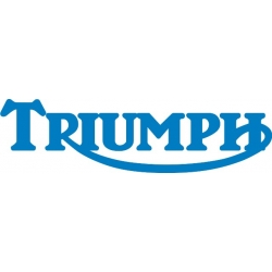 Triumph Decal/Sticker! 10.5" wide x 3" high
