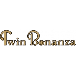 Twin Bonanza Aircraft Decal/Sticker 3 1/8''h x 14 7/8''w!