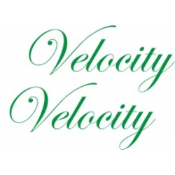 Velocity Aircraft Decal/Sticker 4 1/2''high x 10''wide!